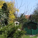 Cliquer pour agrandir