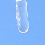 Cliquer pour agrandir