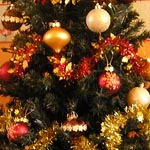 Cliquer pour agrandir