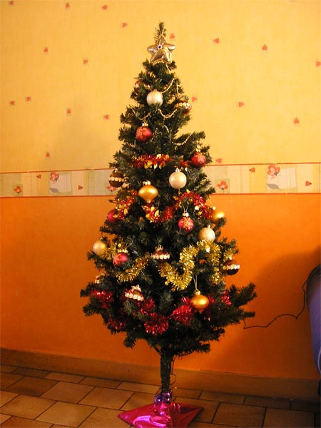 sapin