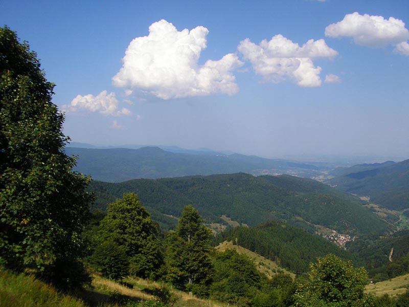paysage vosgien